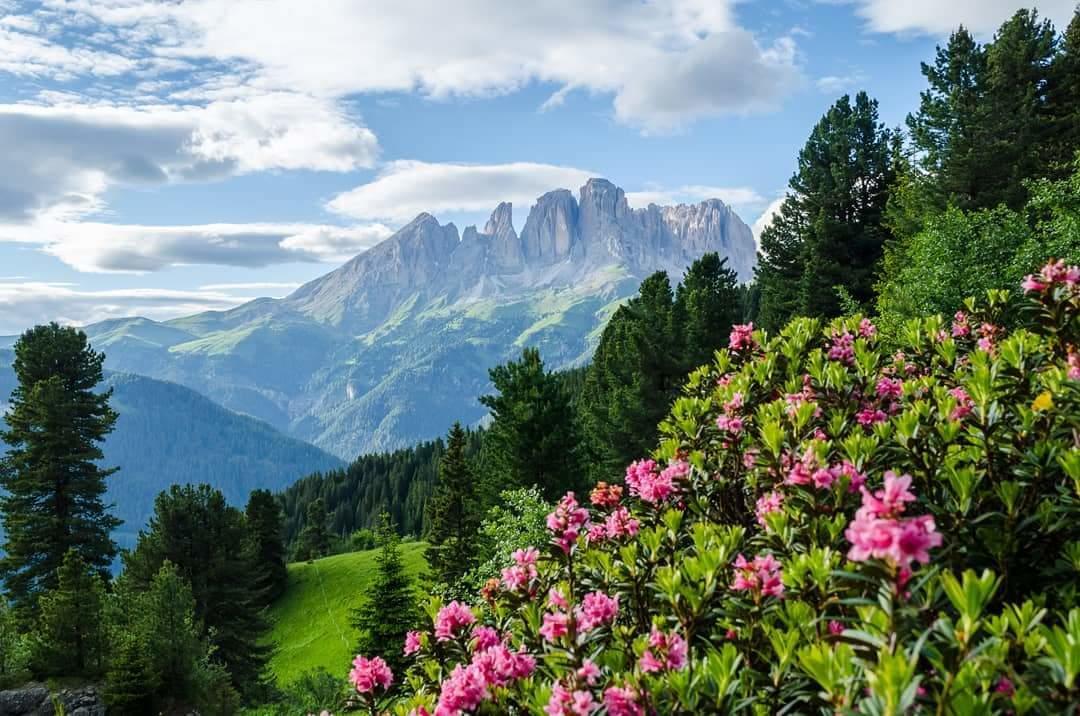 Majon De La Nona Hotell Pozza di Fassa Exteriör bild